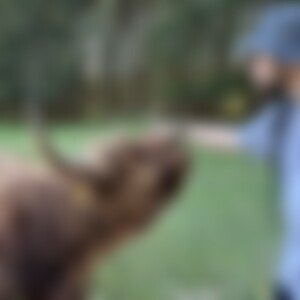 kaiba (32) aus Büren