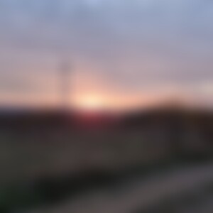 user1219 (26) aus Gotha