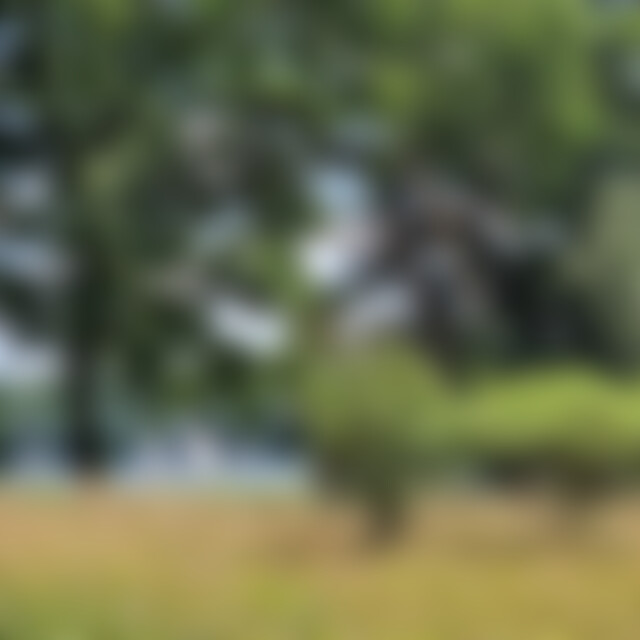 LisaRuhrgebiet (59) aus Herdecke