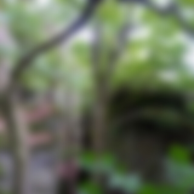 LisaRuhrgebiet (59) aus Herdecke