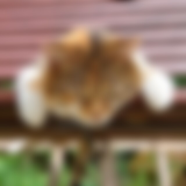 Rimdidim (30) aus Aschaffenburg