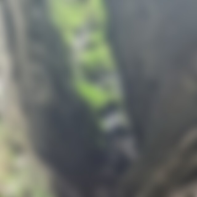 Beterin (45) aus Neuburg a.d Donau