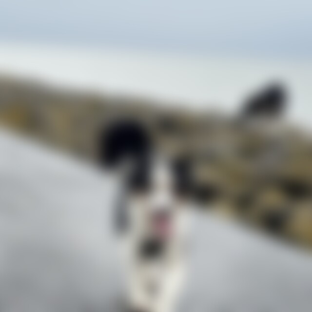 Direen (38) aus Probstzella