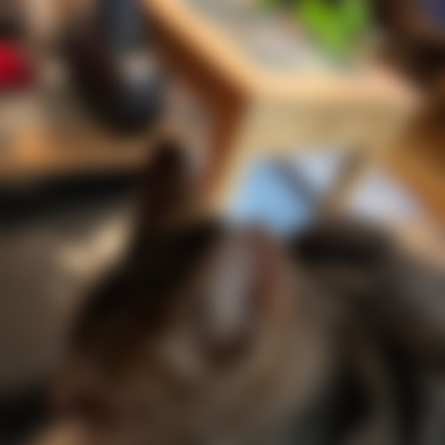 Mariaba (57) aus Xanten