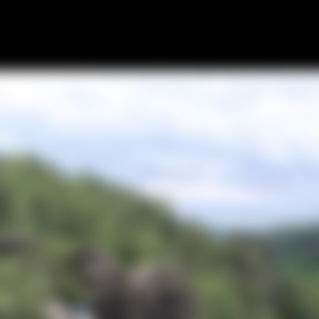 martin21 (37) aus *******