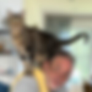 RuleNo1 (66) aus Höhr-Grenzhausen