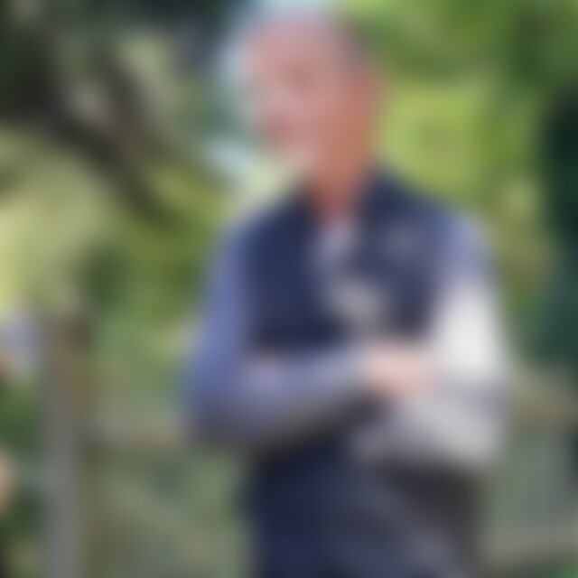 Friese55 (57) aus Uplengen