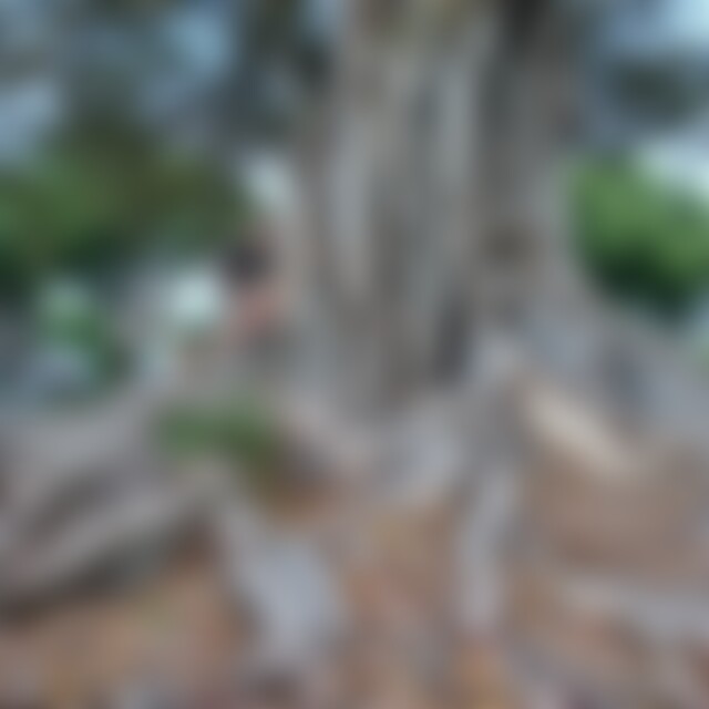 LukasVV (28) aus Cham