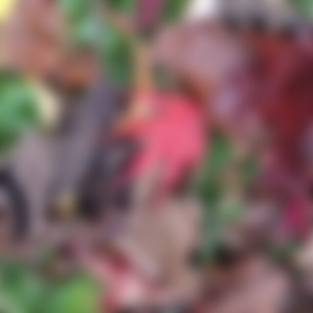 Herbstlich (71) aus Karlsbad