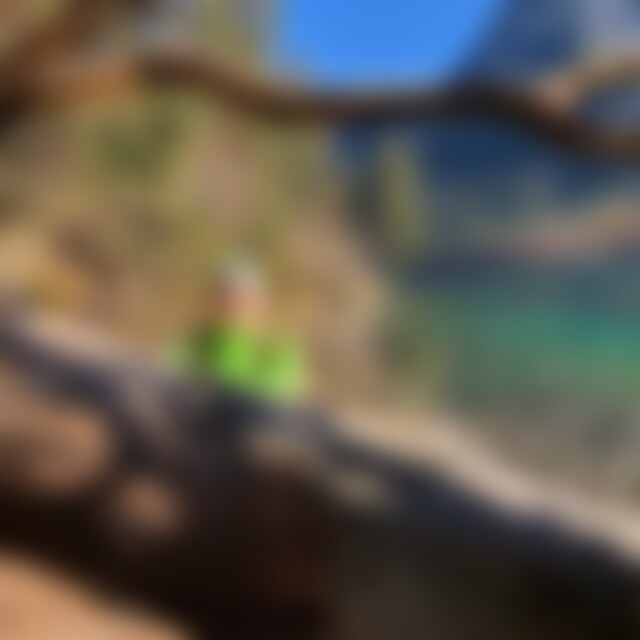 ziewers (62) aus Peiting