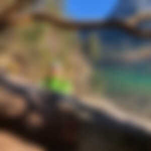 ziewers (62) aus Peiting