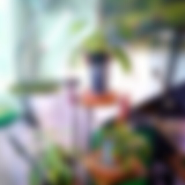 LukasDecker (19) aus Gelenau