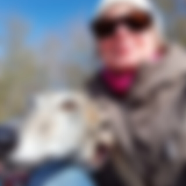 Erdkroete (63) aus Rothenburg