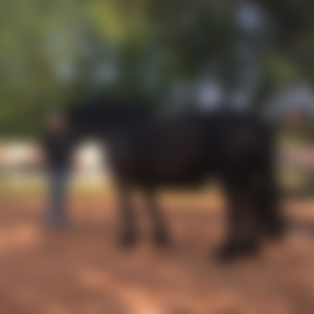 Peaches (57) aus Korbach