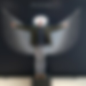 Paceebene (58) aus Gottmadingen