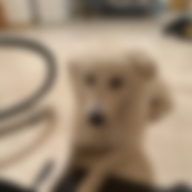 Jamie18L (18) aus Karlsruhe