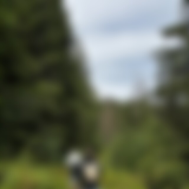 AngelD (24) aus Brakel