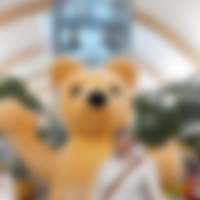 Sonnemblume (39) aus elbersroth