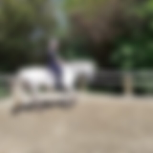 Tobi99 (26) aus Radevormwald