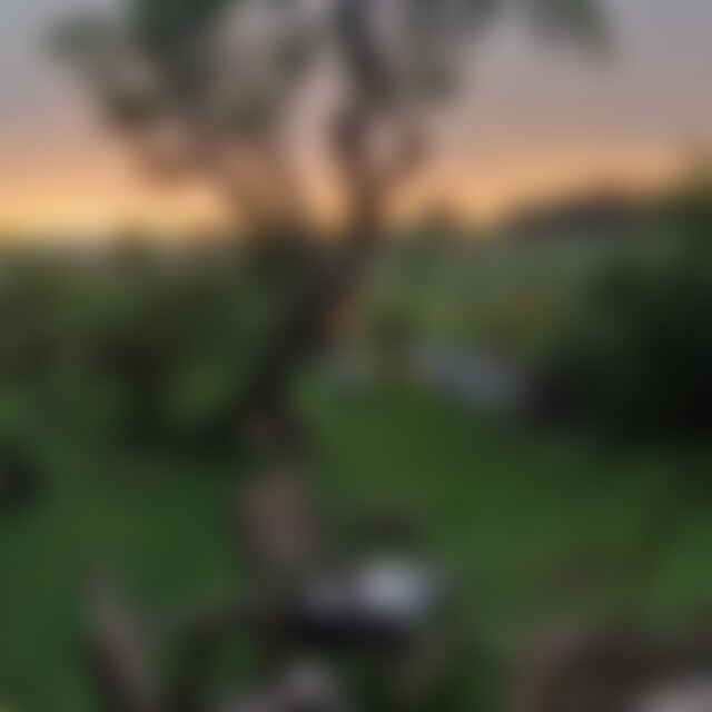 Klara13 (50) aus Diesdorf