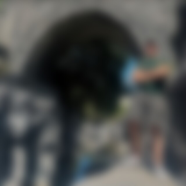 Toli92 (33) aus Salzgitter-Bad