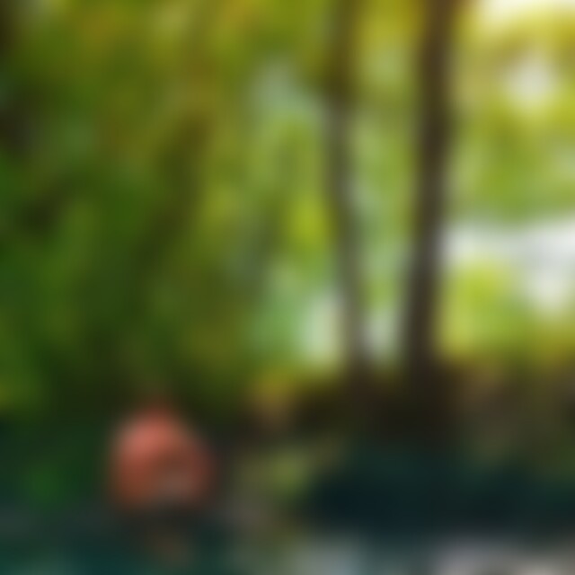 Toli92 (33) aus Salzgitter-Bad