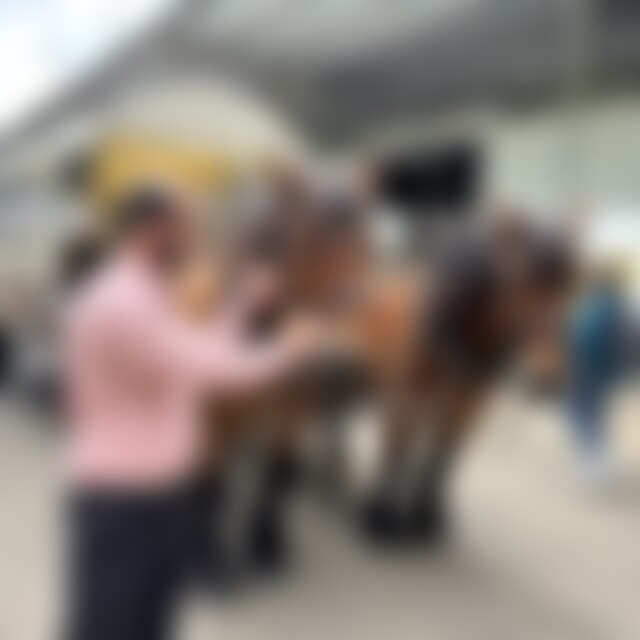 Ayoob (35) aus Bergisch Gladbach