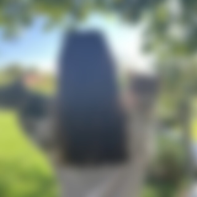 diedreimusketiere (30) aus Bayreuth