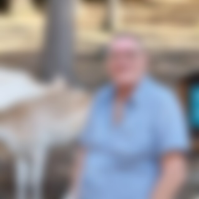 Sonnesandundstrand (64) aus Lüneburg