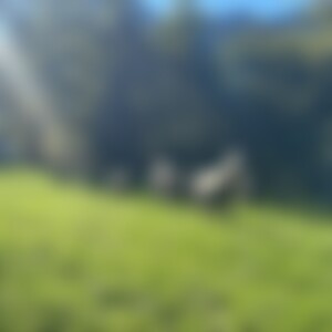 Zusammenlebenlieben (62) aus Zu Hause