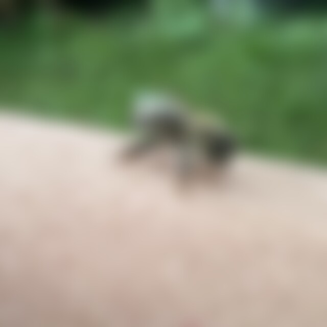 Jk20 (49) aus Burgstädt