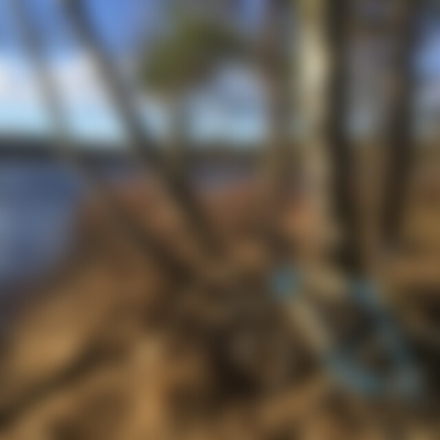 Arminius (65) aus Etzelwang