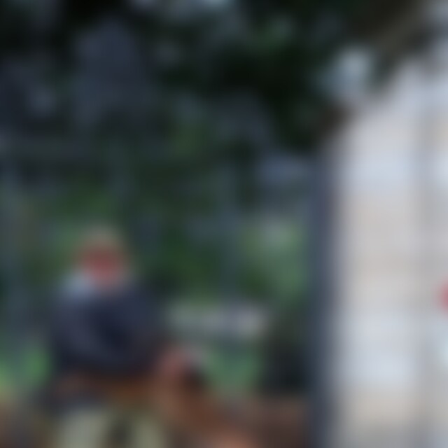 Gideon300 (47) aus Heidenheim