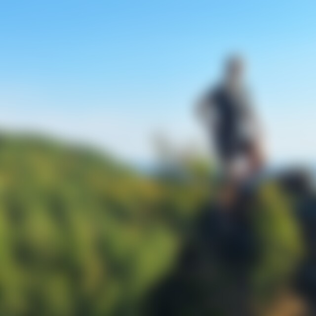 HimFirst86 (39) aus Kassel