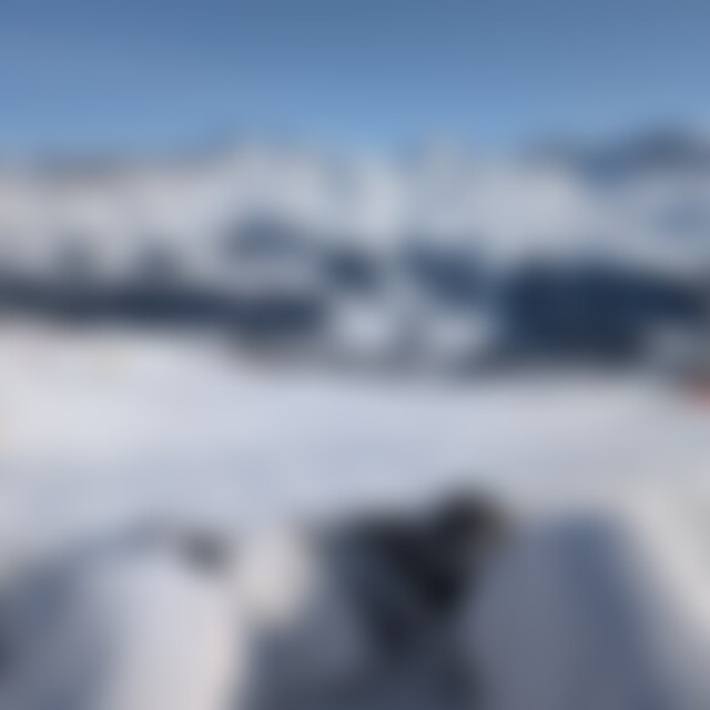 Waldi90 (35) aus Rorschach