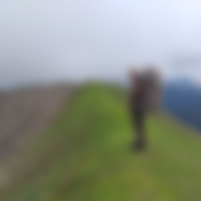 Schwarzdrossel (33) aus Nittendorf