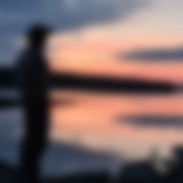 Schwarzdrossel (33) aus Nittendorf