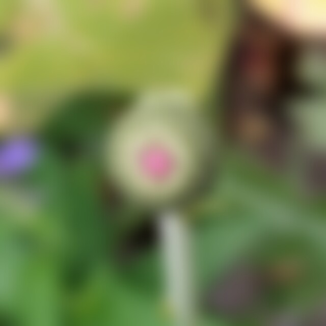 HauseB (54) aus Nürnberg