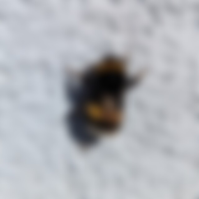 HauseB (54) aus Nürnberg