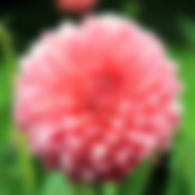 Stefan48 (48) aus Gernsheim