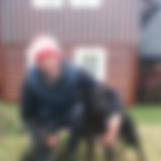 Baumfalke (63) aus Gelnhausen