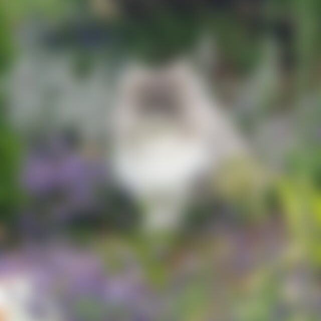 Filmliebhaber (36) aus Leipzig