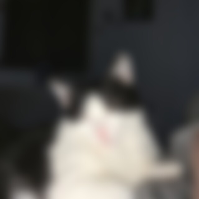 Leuchte777 (56) aus Haiger