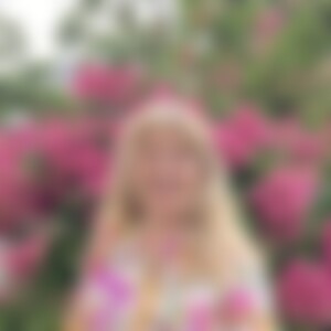 Sonnenblume10 (65) aus Freigericht