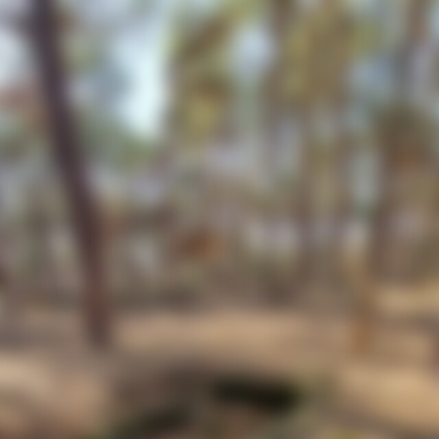 Daniel1106 (45) aus Wachenheim