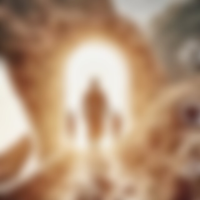 AndreaMitHund (59) aus Kassel