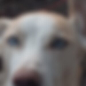 RunAdi (55) aus Nagyszakácsi