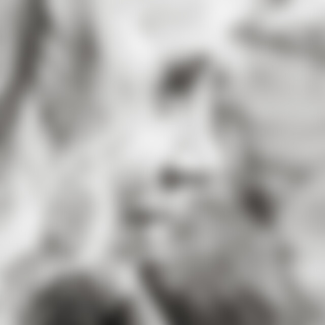 Bluetenstaub (53) aus D