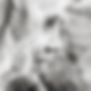 Bluetenstaub (53) aus D