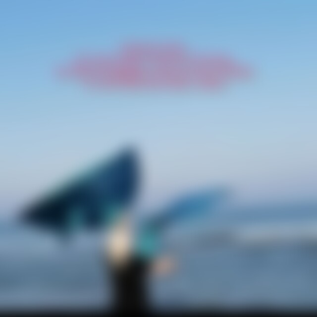 hiscrown (60) aus Düsseldorf